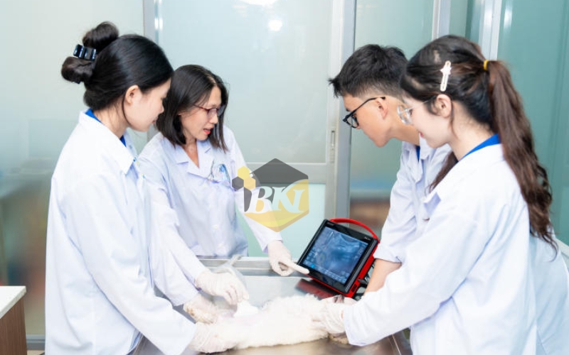 Các trường đào tạo Cao đẳng Thú y học online tốt nhất 21 Cao đẳng Thú y online từ xa có thật không?