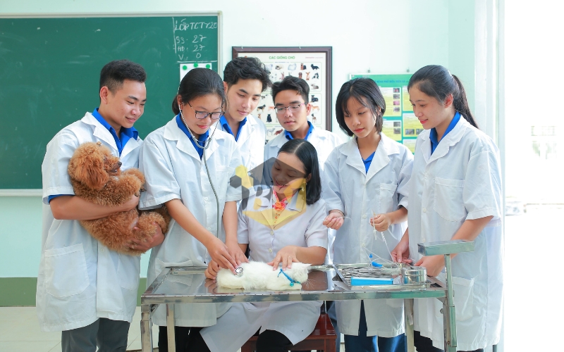 Các trường đào tạo Cao đẳng Thú y học online tốt nhất 23 Một số trường đào tạo Cao đẳng Thú y học online