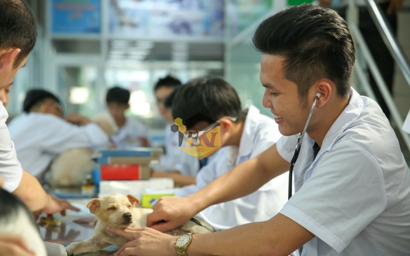 Trường Trung cấp Thú y đào tạo uy tín, giá rẻ tại TPHCM