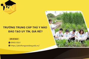 Trường Trung cấp Thú y nào đào tạo uy tín, giá rẻ?